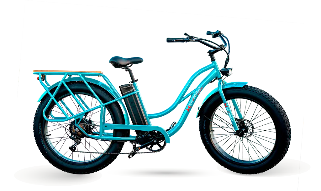 SHI-BIKE